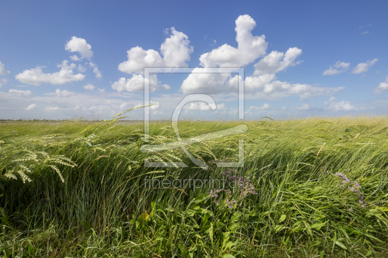 frei w&auml;hlbarer Bildausschnitt f&uuml;r Ihr Bild auf Kissen