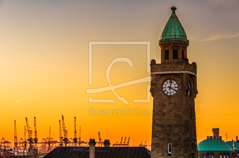 frei w&auml;hlbarer Bildausschnitt f&uuml;r Ihr Bild auf Kissen