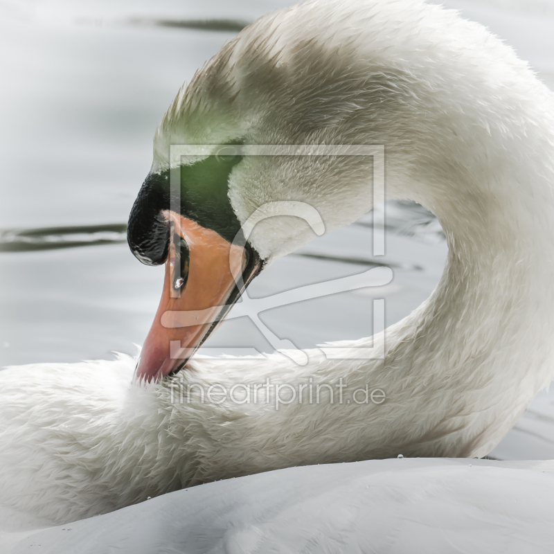 frei w&auml;hlbarer Bildausschnitt f&uuml;r Ihr Bild auf Kissen