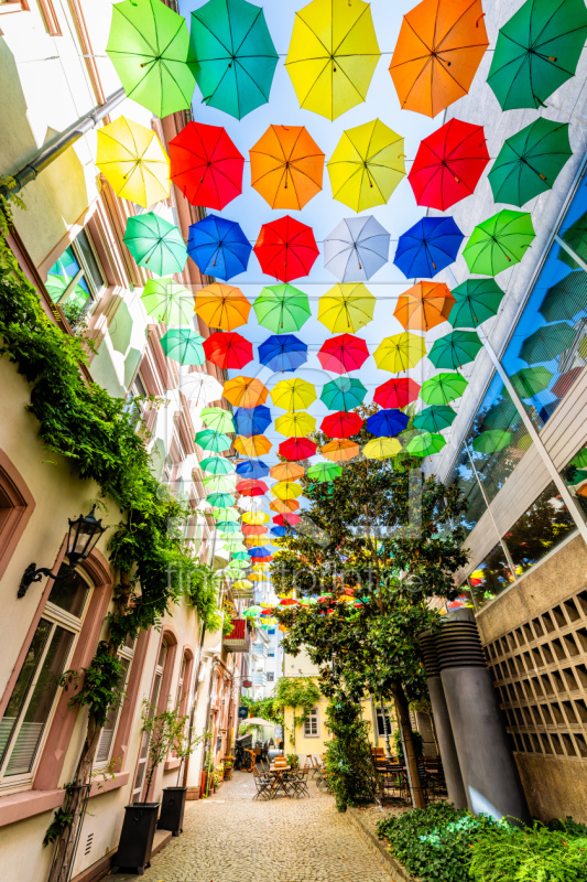 frei w&auml;hlbarer Bildausschnitt f&uuml;r Ihr Bild auf Kissen