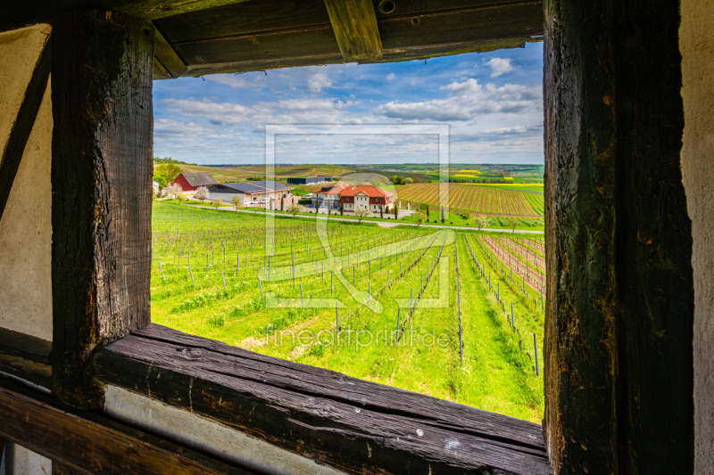 frei w&auml;hlbarer Bildausschnitt f&uuml;r Ihr Bild auf Kissen