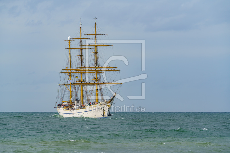 frei wählbarer Bildausschnitt für Ihr Bild auf Kissen