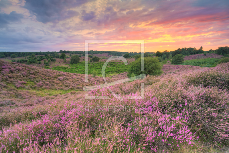 frei wählbarer Bildausschnitt für Ihr Bild auf Kissen