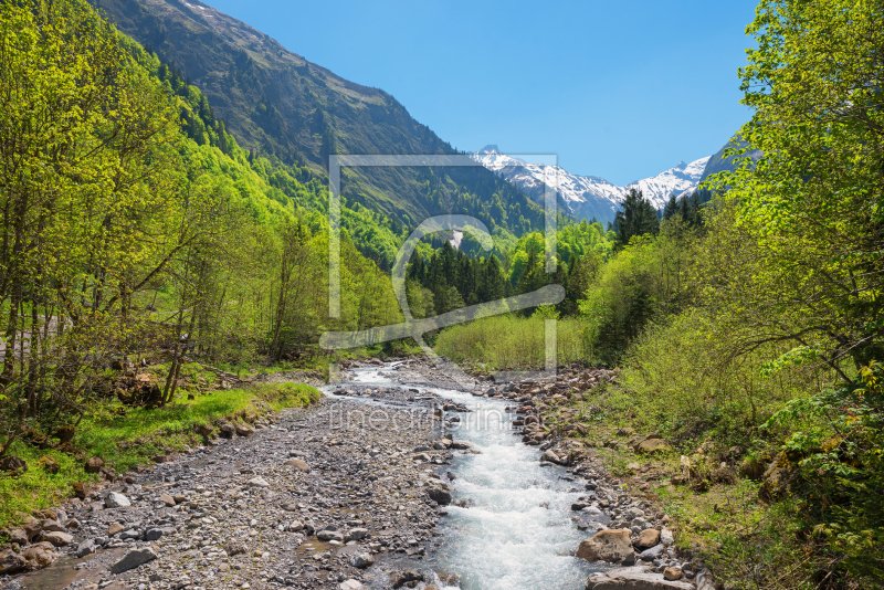 frei wählbarer Bildausschnitt für Ihr Bild auf Kissen