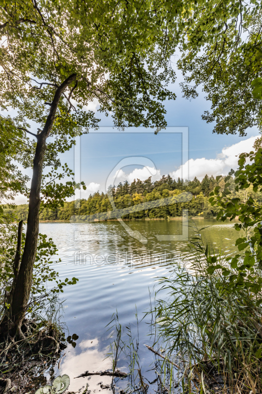 frei wählbarer Bildausschnitt für Ihr Bild auf Kissen
