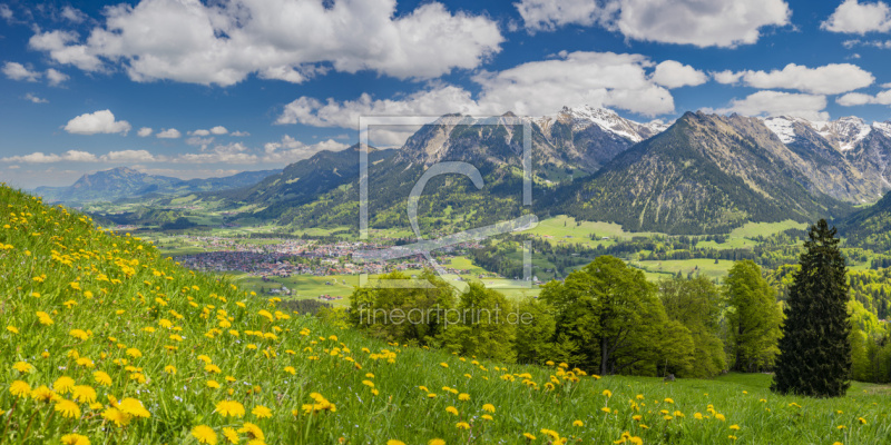 frei wählbarer Bildausschnitt für Ihr Bild auf Kissen