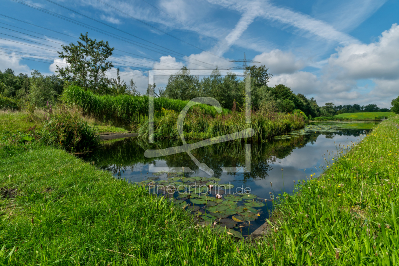 frei w&auml;hlbarer Bildausschnitt f&uuml;r Ihr Bild auf Kissen