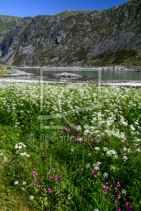frei wählbarer Bildausschnitt für Ihr Bild auf Kissen