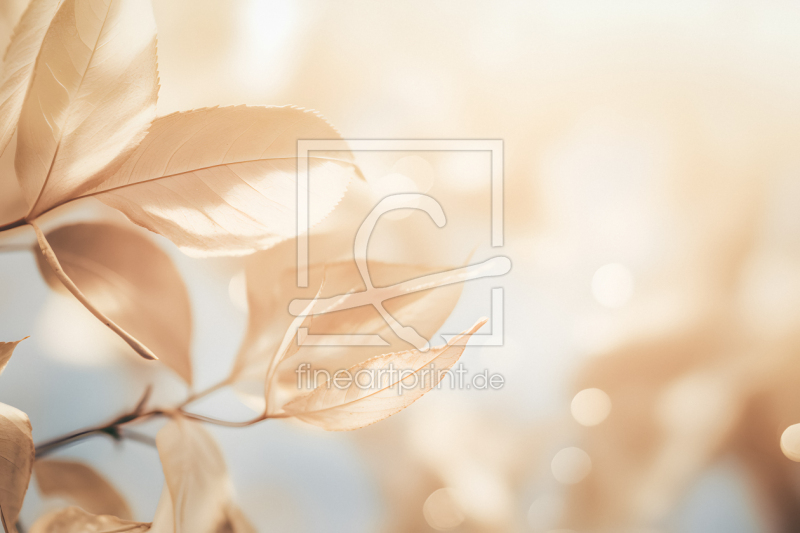 frei w&auml;hlbarer Bildausschnitt f&uuml;r Ihr Bild auf Kissen