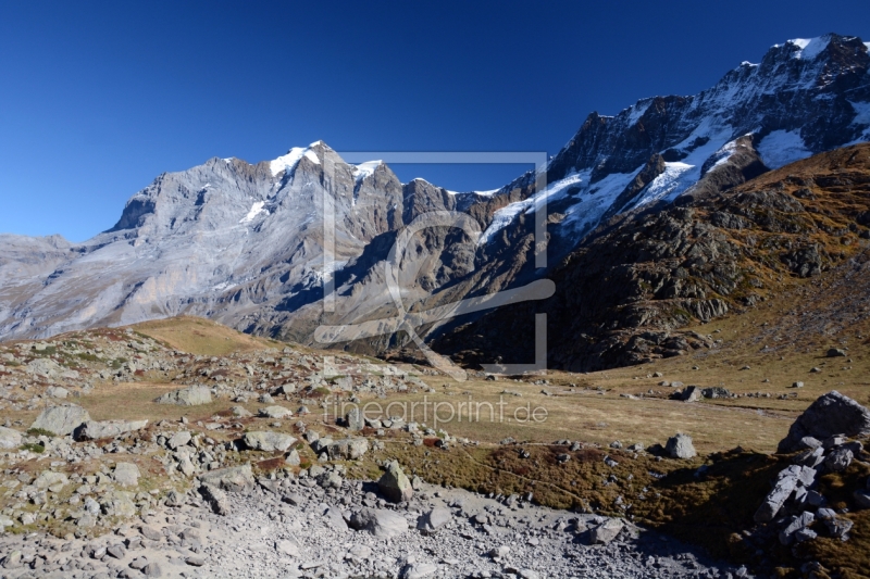 frei w&auml;hlbarer Bildausschnitt f&uuml;r Ihr Bild auf Kissen