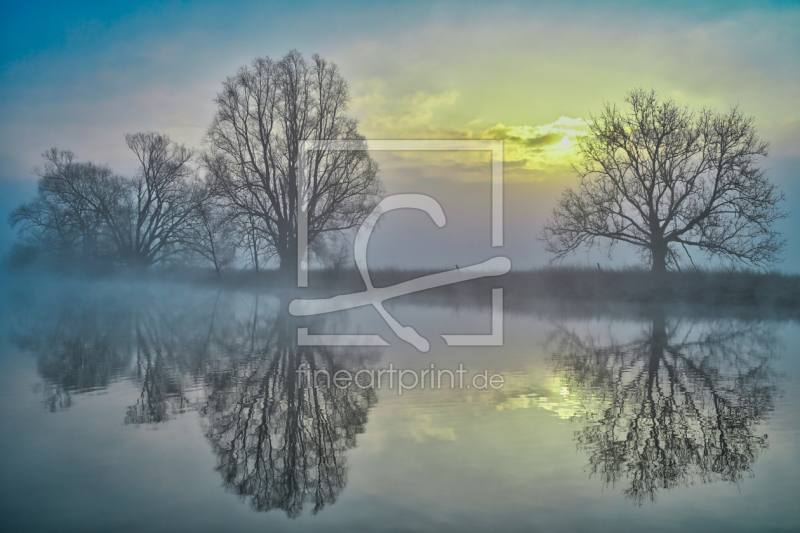 frei wählbarer Bildausschnitt für Ihr Bild auf Kissen