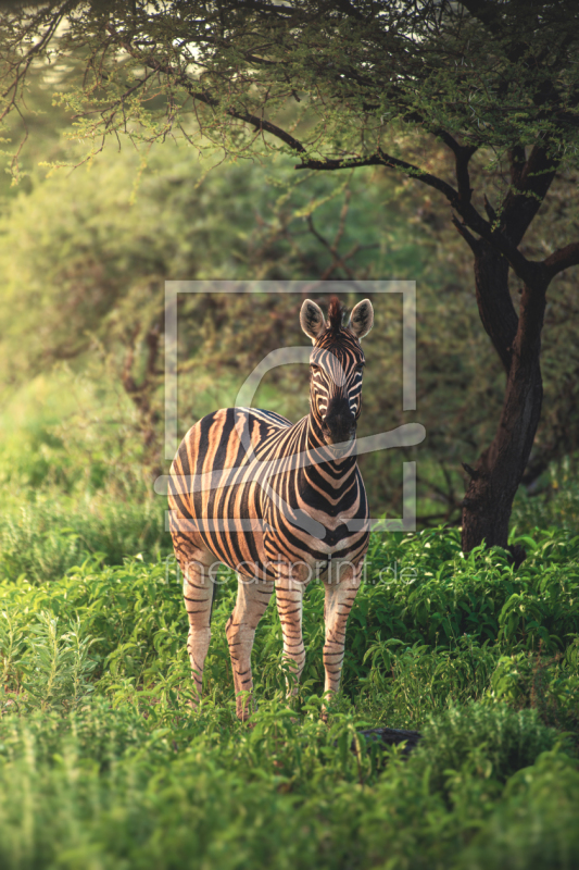 frei w&auml;hlbarer Bildausschnitt f&uuml;r Ihr Bild auf Kissen