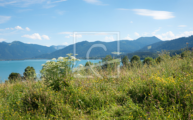 frei wählbarer Bildausschnitt für Ihr Bild auf Kissen