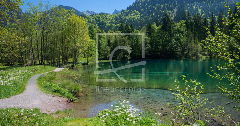 frei wählbarer Bildausschnitt für Ihr Bild auf Kissen