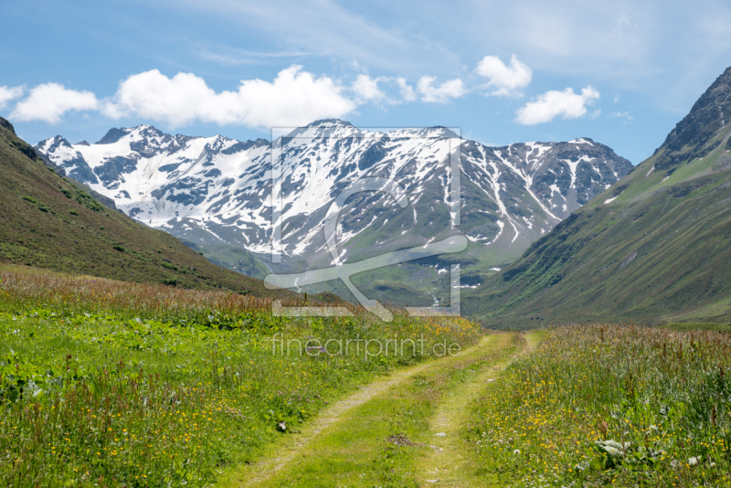 frei w&auml;hlbarer Bildausschnitt f&uuml;r Ihr Bild auf Kissen