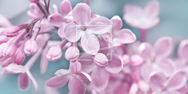 frei wählbarer Bildausschnitt für Ihr Bild auf Kissen