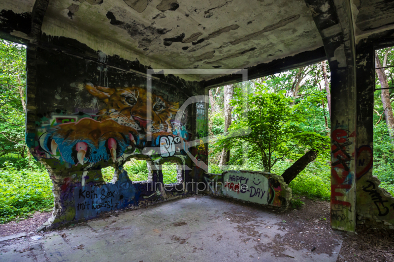 frei w&auml;hlbarer Bildausschnitt f&uuml;r Ihr Bild auf Kissen