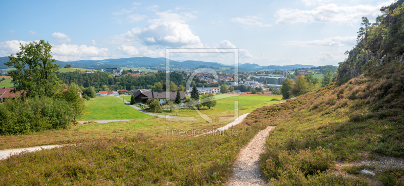 frei wählbarer Bildausschnitt für Ihr Bild auf Kissen