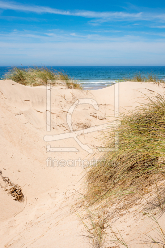 frei wählbarer Bildausschnitt für Ihr Bild auf Kissen