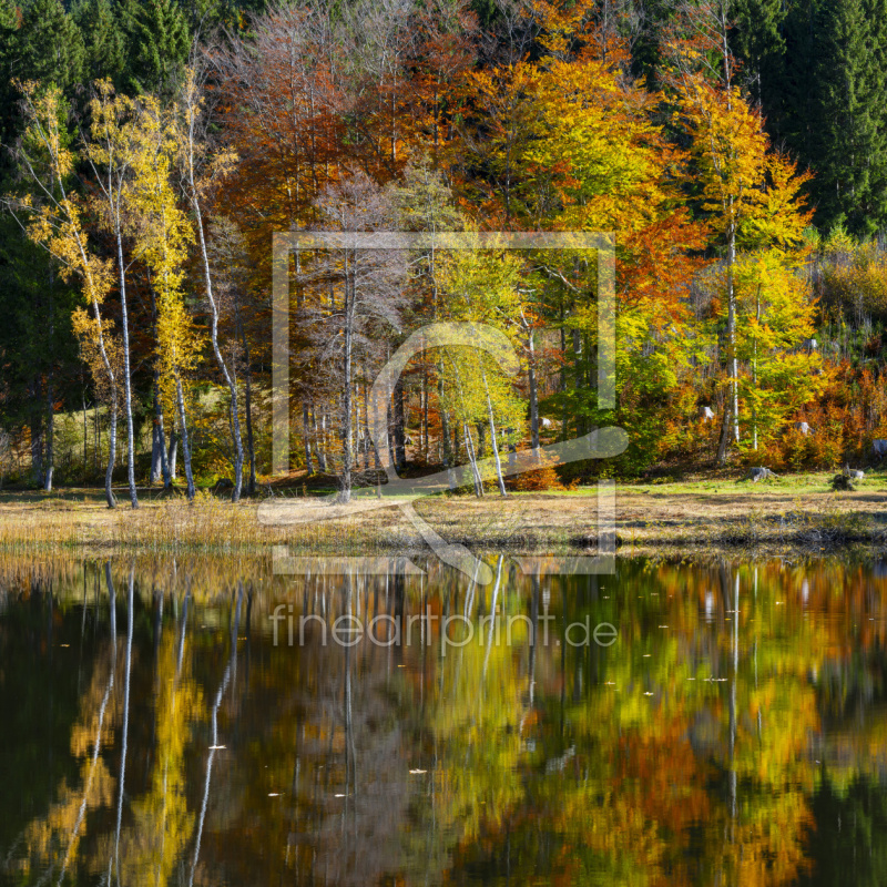 frei wählbarer Bildausschnitt für Ihr Bild auf Kissen