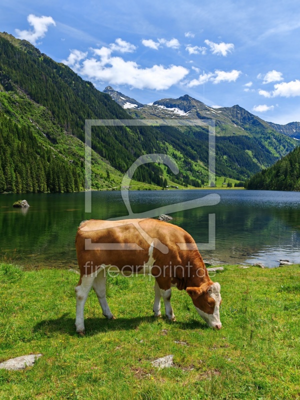 frei wählbarer Bildausschnitt für Ihr Bild auf Kissen