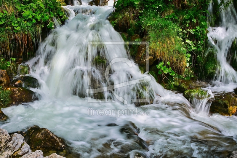 frei wählbarer Bildausschnitt für Ihr Bild auf Kissen