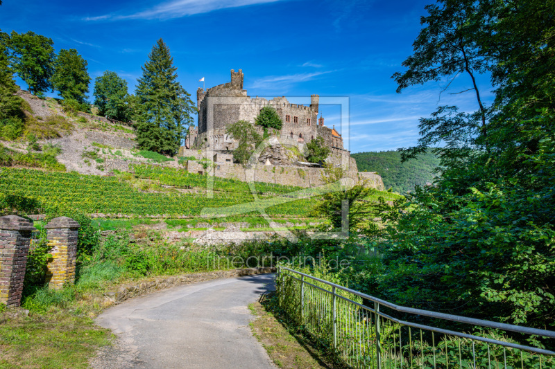 frei wählbarer Bildausschnitt für Ihr Bild auf Kissen