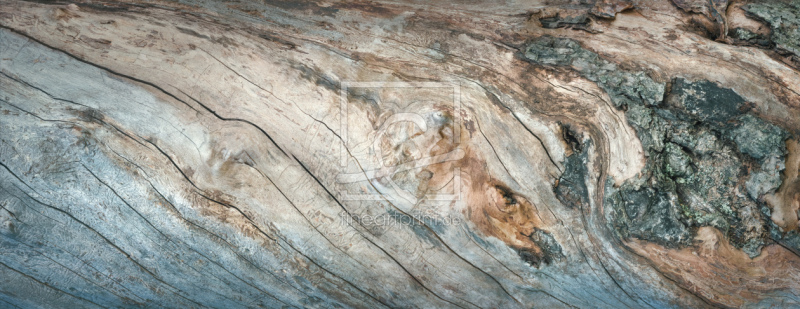 frei w&auml;hlbarer Bildausschnitt f&uuml;r Ihr Bild auf Kissen