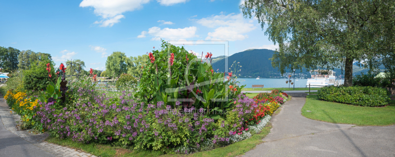 frei wählbarer Bildausschnitt für Ihr Bild auf Kissen