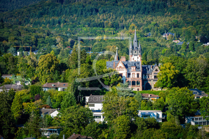 frei wählbarer Bildausschnitt für Ihr Bild auf Kissen