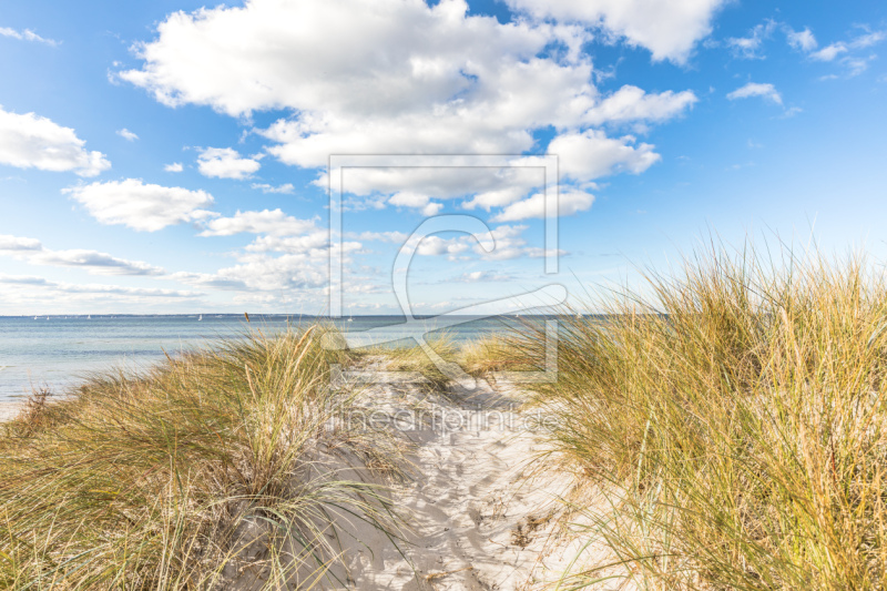 frei w&auml;hlbarer Bildausschnitt f&uuml;r Ihr Bild auf Kissen