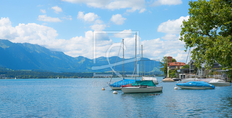 frei wählbarer Bildausschnitt für Ihr Bild auf Kissen