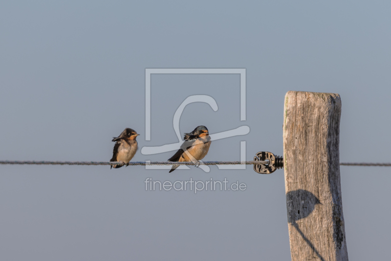 frei wählbarer Bildausschnitt für Ihr Bild auf Kissen