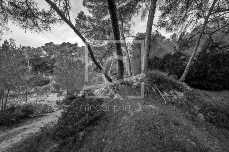 frei w&auml;hlbarer Bildausschnitt f&uuml;r Ihr Bild auf Kissen