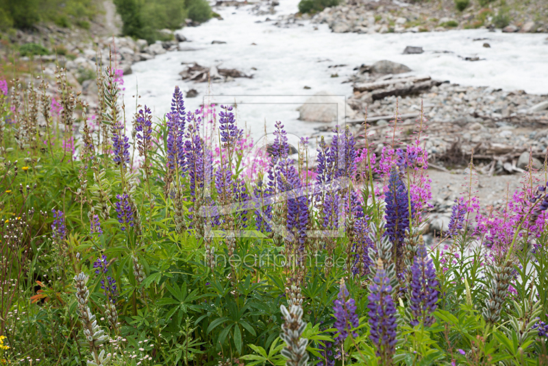 frei w&auml;hlbarer Bildausschnitt f&uuml;r Ihr Bild auf Kissen