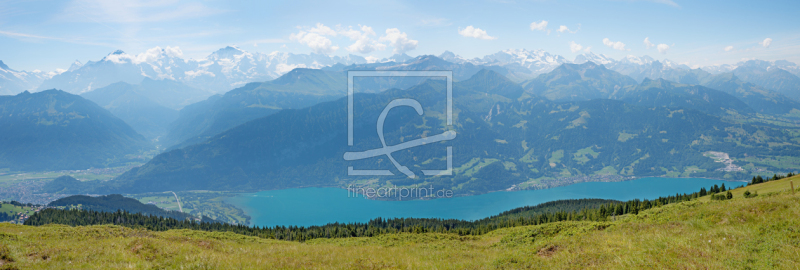 frei wählbarer Bildausschnitt für Ihr Bild auf Kissen