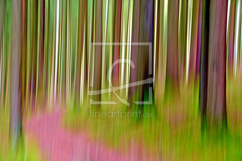 frei wählbarer Bildausschnitt für Ihr Bild auf Kissen