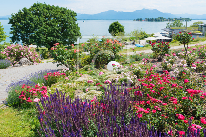 frei wählbarer Bildausschnitt für Ihr Bild auf Kissen