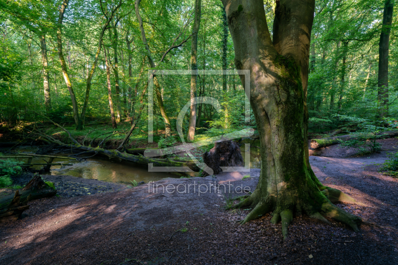 frei w&auml;hlbarer Bildausschnitt f&uuml;r Ihr Bild auf Kissen