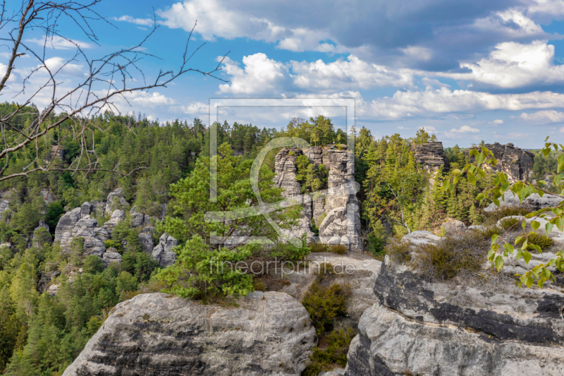 frei wählbarer Bildausschnitt für Ihr Bild auf Kissen