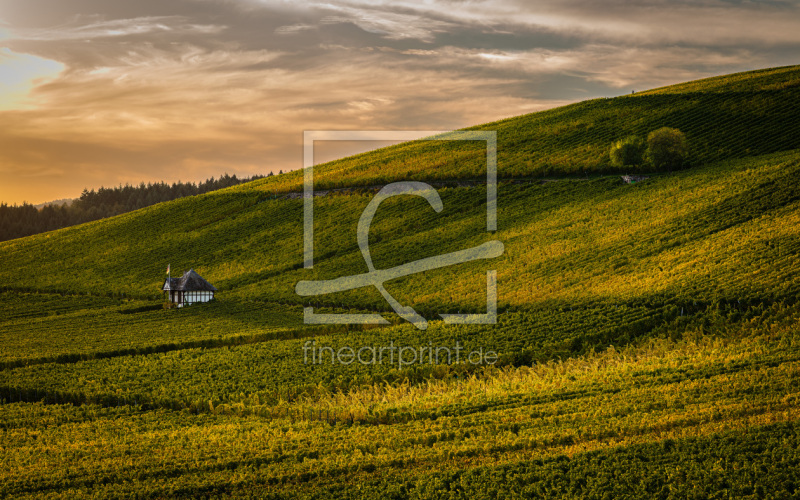 frei w&auml;hlbarer Bildausschnitt f&uuml;r Ihr Bild auf Kissen