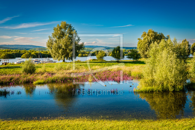 frei w&auml;hlbarer Bildausschnitt f&uuml;r Ihr Bild auf Kissen
