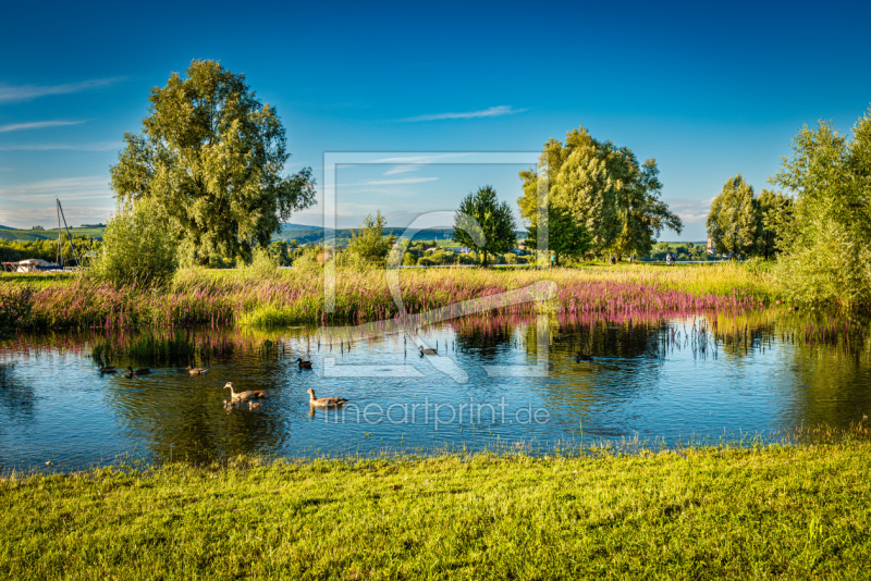 frei w&auml;hlbarer Bildausschnitt f&uuml;r Ihr Bild auf Kissen