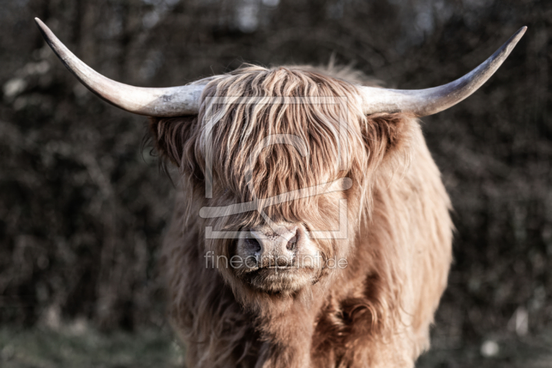 frei wählbarer Bildausschnitt für Ihr Bild auf Kissen