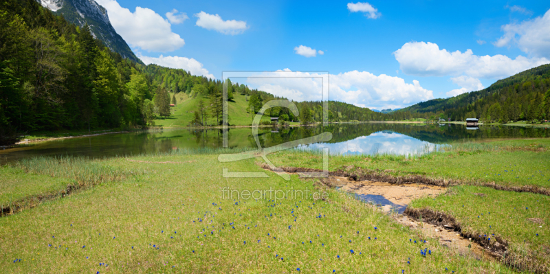 frei wählbarer Bildausschnitt für Ihr Bild auf Kissen
