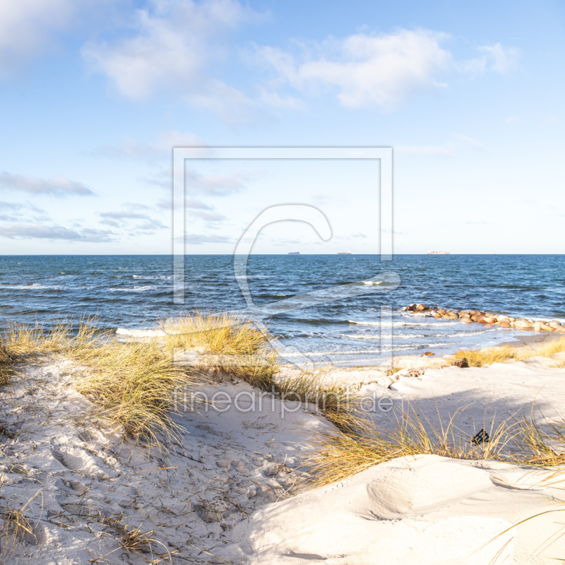 frei wählbarer Bildausschnitt für Ihr Bild auf Kissen