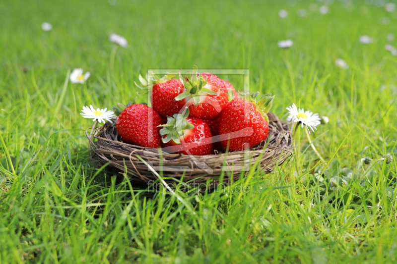 frei w&auml;hlbarer Bildausschnitt f&uuml;r Ihr Bild auf Kissen