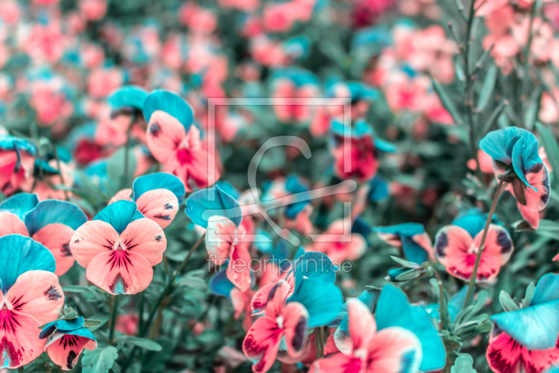 frei wählbarer Bildausschnitt für Ihr Bild auf Kissen