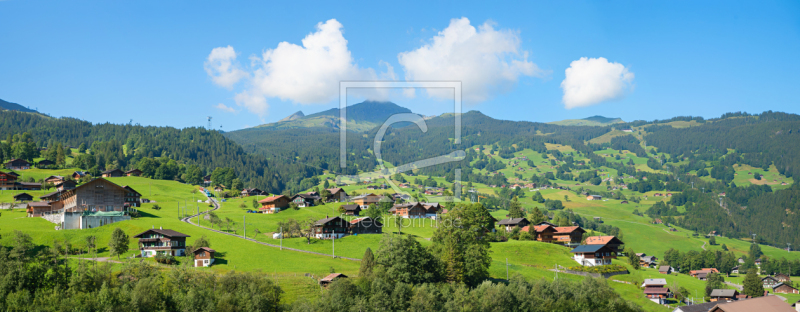 frei wählbarer Bildausschnitt für Ihr Bild auf Kissen