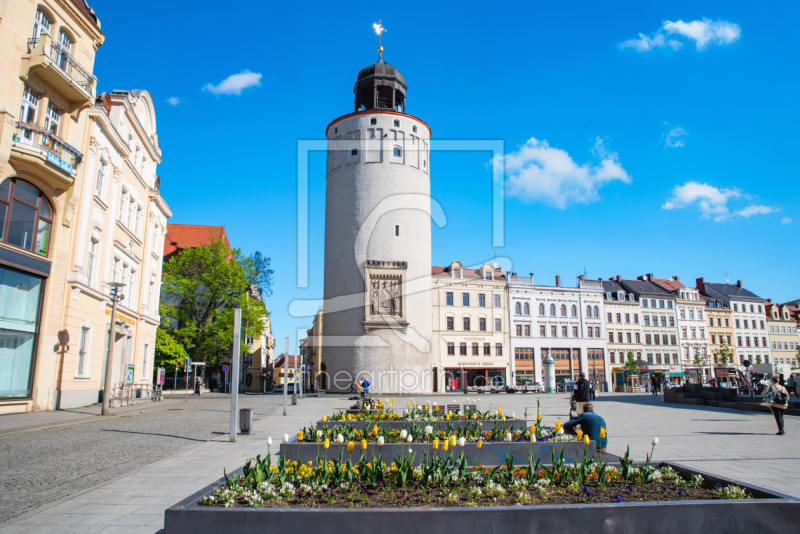 frei w&auml;hlbarer Bildausschnitt f&uuml;r Ihr Bild auf Kissen